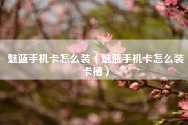 魅蓝手机卡怎么装(魅蓝手机卡怎么装卡槽)
